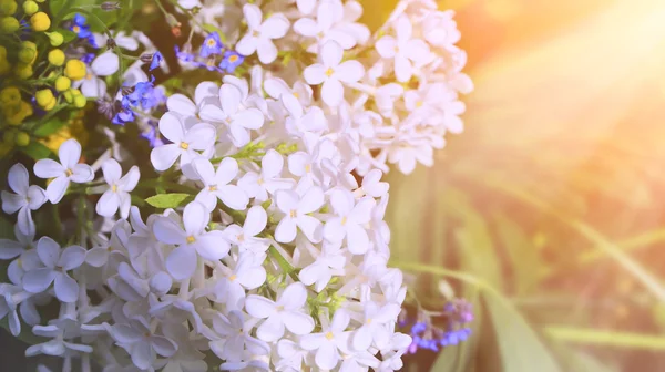 Spring bouquet of white lilac retro romantic soft selective focus — Stock Photo, Image