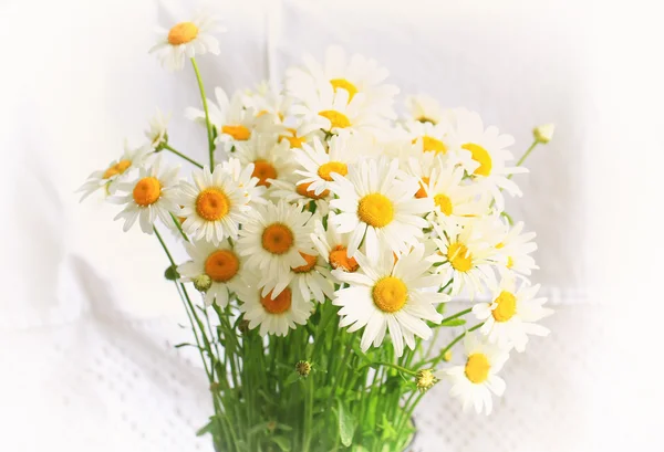 Bouquet of daisies on a white background Spring composition — Stock Photo, Image