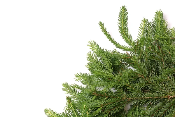 Fenyő fa ágai elszigetelt fehér háttér karácsonyi backgro — Stock Fotó