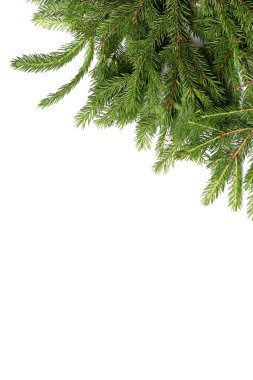 Beyaz arka plan christmas backgro üzerinde izole köknar ağacı dalları