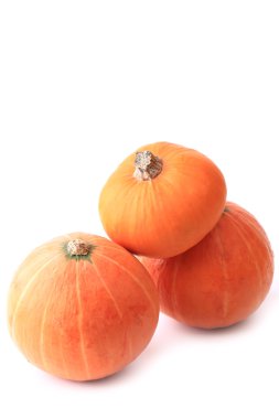 Beyaz arkaplanda kabak izole