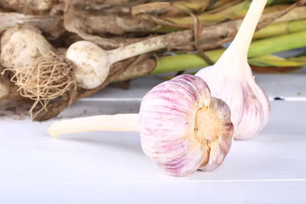 Knoflook biologische boerderij producten selectieve aandacht — Stockfoto