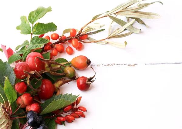 sonbahar meyveler ve otlar ile metin için yer Beyaz ahşap zemin üzerinde bir düz görünüm Sonbahar zaman yukarıda görüntülemek