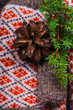 Yılbaşı arka planı köknar ağacı konisiyle eldiven ördü.