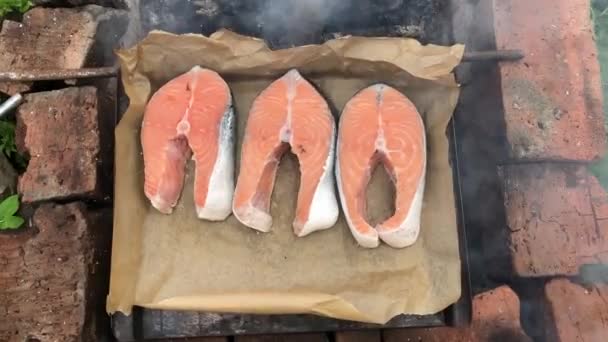 Assar um bife de salmão numa fogueira. peixe grelhado em chamas no pátio da casa — Vídeo de Stock