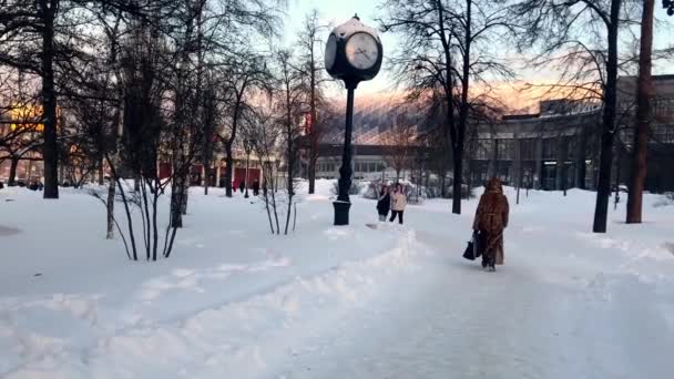 Ludzie Chodzą Zimą Ulicą Metra Śniegu Rosja Moskwa 2021 — Wideo stockowe