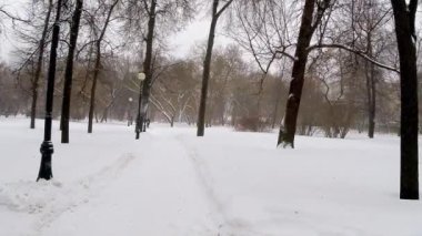 Kışın şehir parkında kar fırtınası.