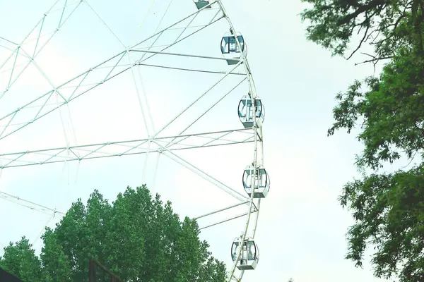 Ferris Wheel City Park — Stock Photo, Image