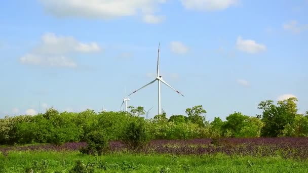 風力発電機。省エネの概念。持続可能な資源の概念. — ストック動画