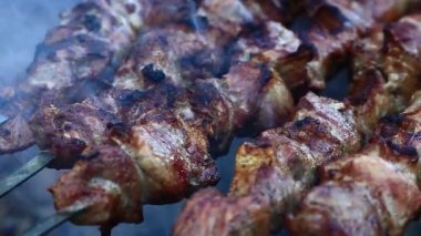Ateşte kızarmış et. Bölgedeki barbekü koşulları