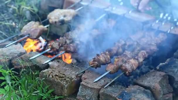 Smažené maso na ohni. Grilování na venkově v terénních podmínkách — Stock video