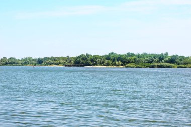 Nehir yaz zamanı. Doğal manzara.