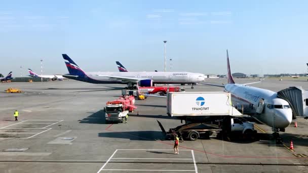 Letadla na letišti. Rusko Moskva Šeremetěvo letiště 06.30.2021 — Stock video
