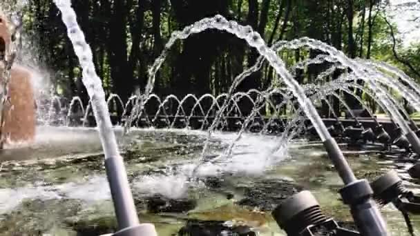 Fontein in het stadspark. Water stroomt van een zomer fontein. — Stockvideo