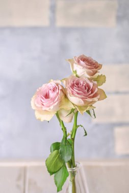 Bir buket yumuşak pembe gül. Romantik pastel arka plan. buket pastel çiçek kartı.