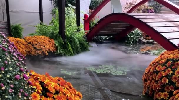 Prachtig herfstlandschap. Herfstbloemen, een brug over de vijver en een tintelende mist over het water — Stockvideo