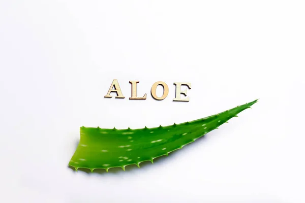 Aloe-Blatt auf hellem Hintergrund. Naturkosmetik und Behandlungen — Stockfoto