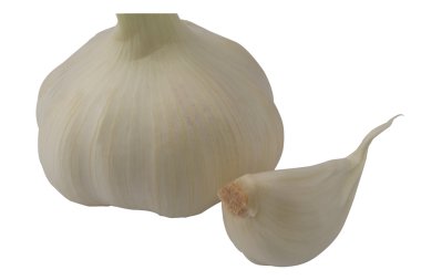 sarımsak çiftlik ürünleri organik izole beyaz arka plan