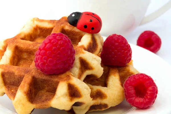 Breakfast Belgian waffles homemade raspberry dessert white background soft selective focus — Stock Photo, Image