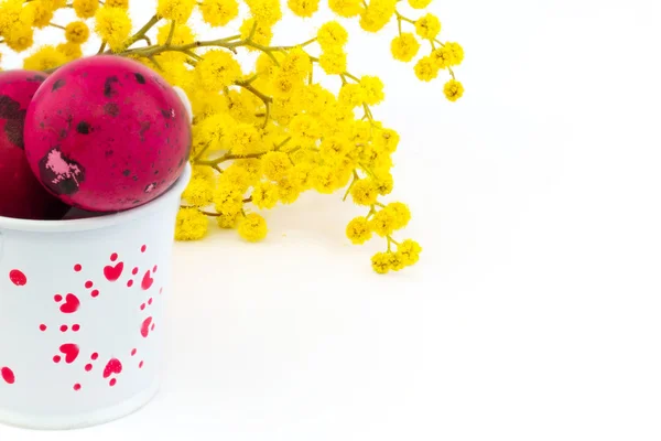Osterwachteleier Mimosen auf weißem Hintergrund weichen selektiven Fokus — Stockfoto