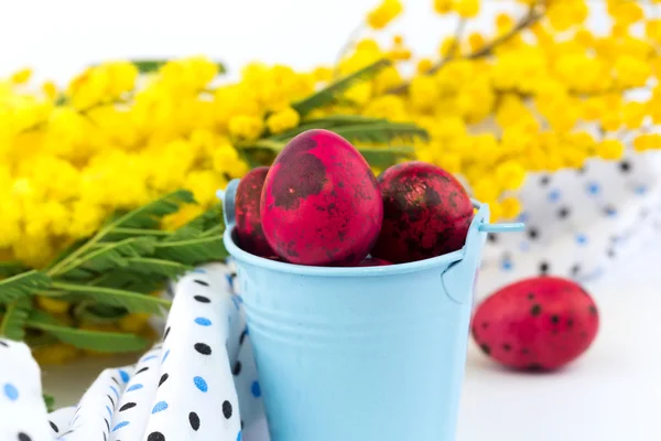 Ovos de codorna de Páscoa mimosa flores em um fundo branco foco seletivo suave — Fotografia de Stock