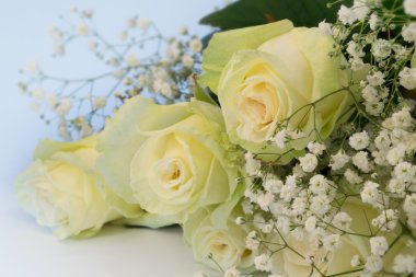 çiçek arka plan gül seçici yumuşak odak bulanık