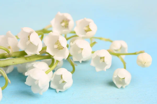 Sanftes Blau der Hintergrund Lilie des Tales selektive weiche Fokus getönte Foto Liebe Baum valentine — Stockfoto