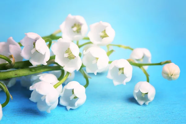 gentle blue the background Lily of the valley selective soft focus toned photo love tree Valentine