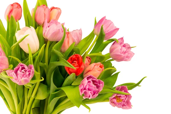 Buquê de tulipas mãe presente de aniversário dia dos namorados primavera fundo seletivo suave foco tonificado foto — Fotografia de Stock