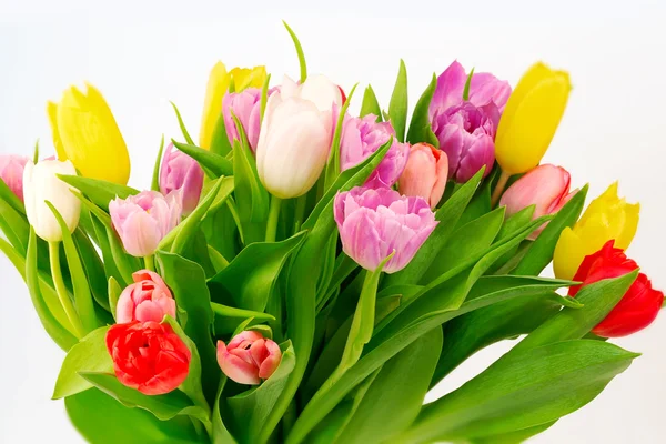 Mazzo di tulipani bianchi fiori giorno delle madri celebrazione compleanno — Foto Stock