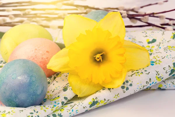 Colored eggs easter spring daffodil flower selective soft focus — ストック写真