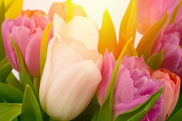 Bouquet of white tulips flowers mothers day celebration birthday — Stock Photo, Image