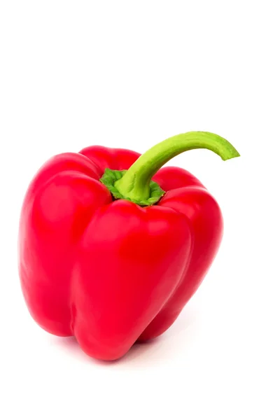 Rode paprika geïsoleerd op witte achtergrond — Stockfoto