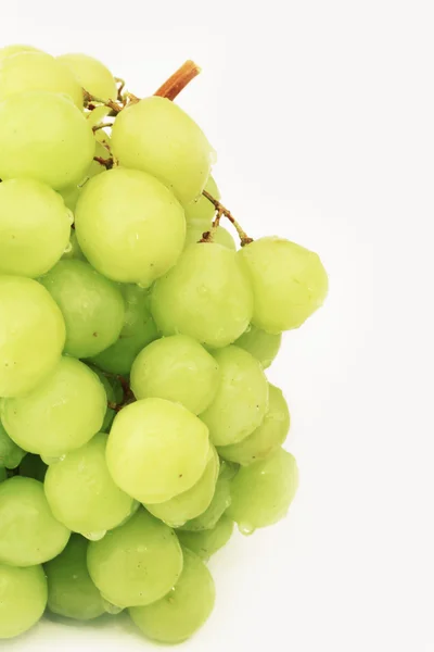 Green muscat grapes isolated on white background — Stock Fotó