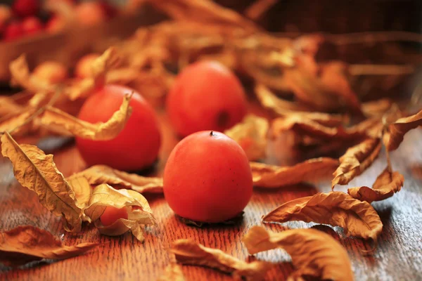 Upadek persimmon — Zdjęcie stockowe