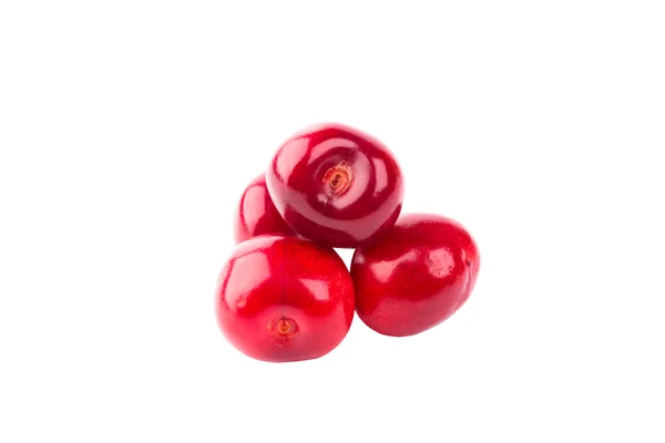 Cherry isolated on a white background — Stock Photo, Image