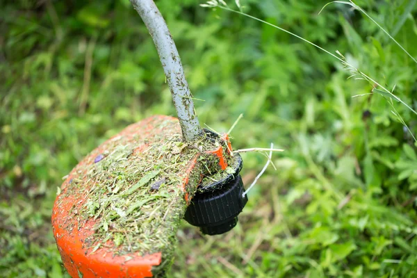 Tavaszi nyári kerti fűnyíró — Stock Fotó