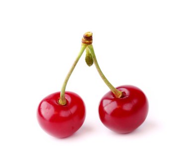 Kiraz izole beyaz arka plan