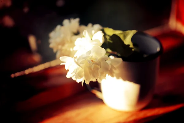 Flor de jazmín en una taza de esmalte en una ventana puesta de sol — Foto de Stock