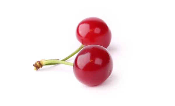 Cherry isolerade vit bakgrund — Stockfoto