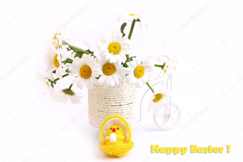 Marguerite Fleurs Plante Pots Velo Poussin Amour Printemps Tendresse Blanc Fond Paques Image Libre De Droit Par Nata Sabyna C Marguerite Fleurs Plante Pots Velo Poussin Amour Printemps Tendresse Blanc Fond Paques Image Libre De Droit Par Nata Sabyna C
