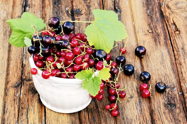 Currant in ceramic bowl on the old vintage wooden background selective soft focus — Stock Photo, Image