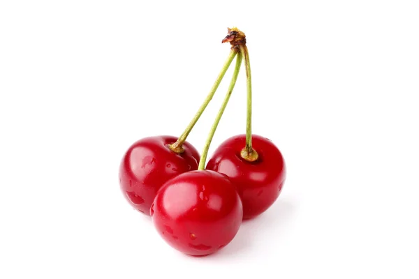 Three cherries isolated on white background farm organic product — Stock Photo, Image