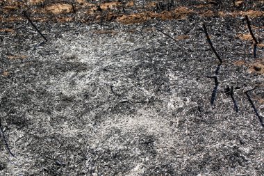 sonra bir yangın yangın arazi yandı