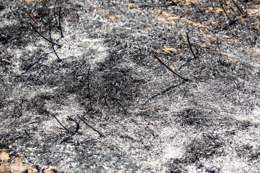 sonra bir yangın yangın arazi yandı