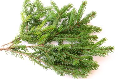 Beyaz arka plan christmas yeni yıl kış üzerinde izole köknar ağacı dalları