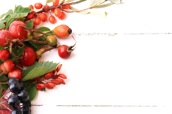 bir beyaz tahta zemin kuşburnu rowan alıç deniz cehri siyah chokeberry çay için sonbahar çilek