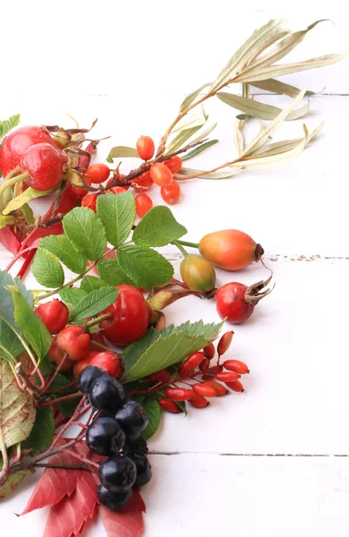 bir beyaz tahta zemin kuşburnu rowan alıç deniz cehri siyah chokeberry çay için sonbahar çilek