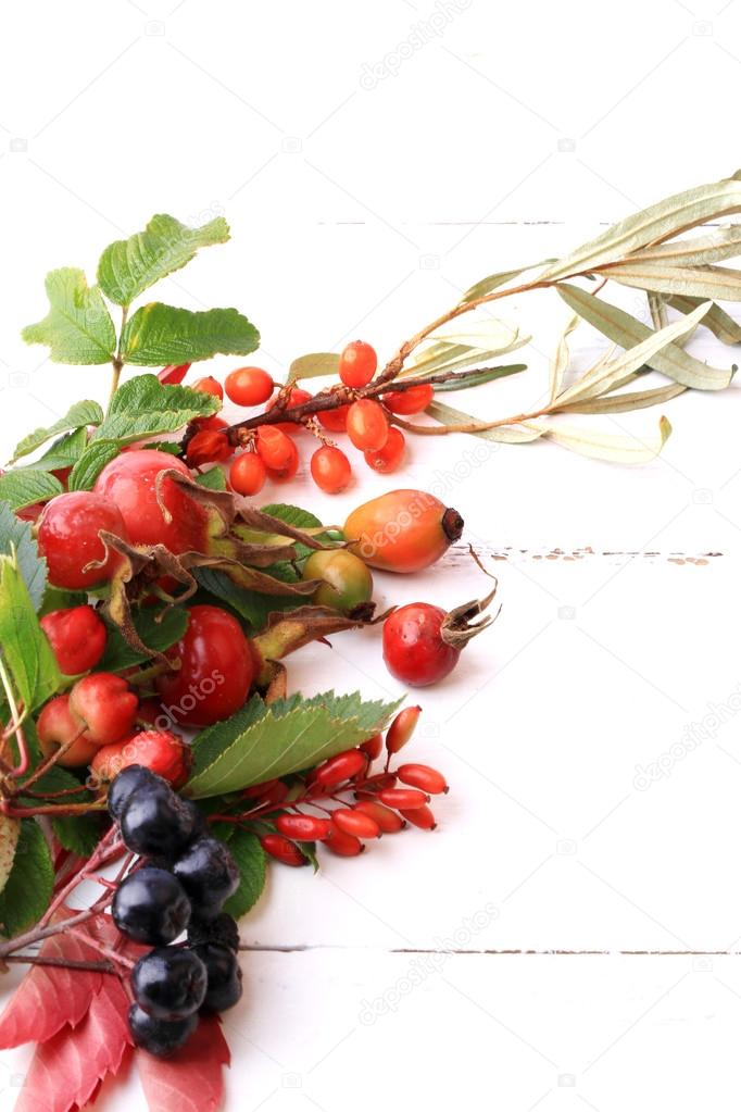 autumn berries for tea on a white wooden background rosehip rowan hawthorn sea buckthorn black chokeberry