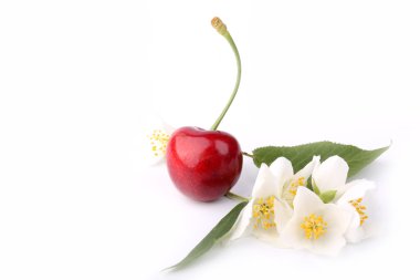 Beyaz arka plan üzerinde izole kiraz ve Yasemin çiçek
